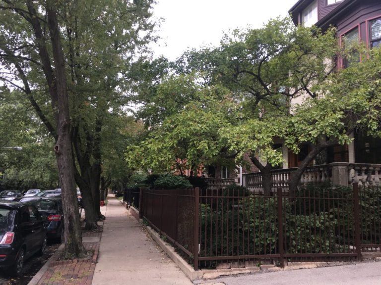 fence