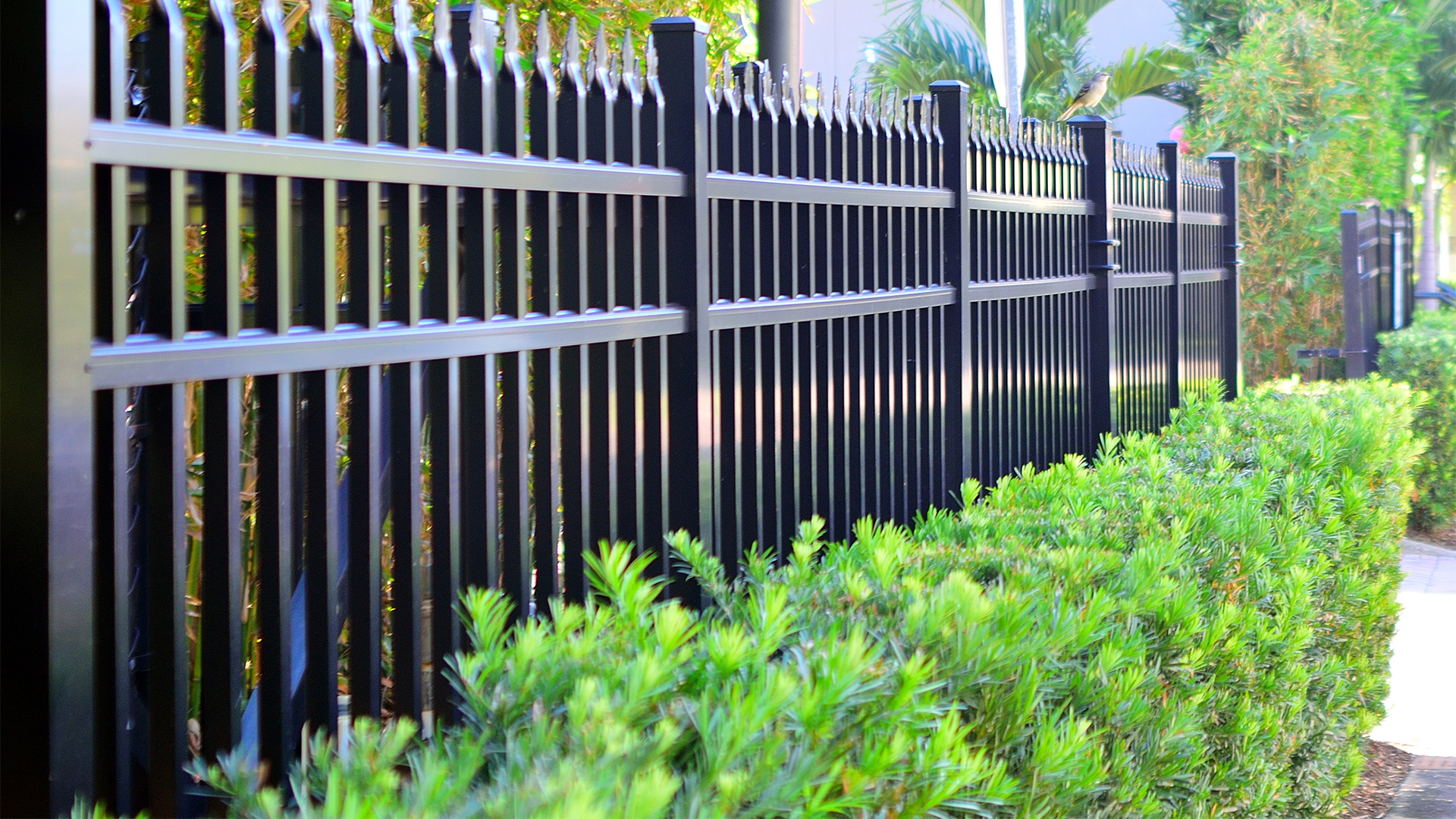 Aluminum Fence Options Aluminum Fences Direct
